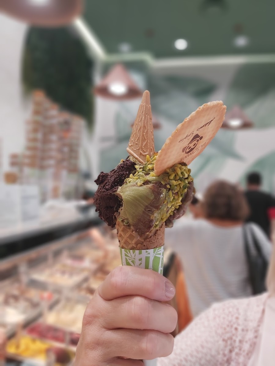 Gelateria Scimmia Factory Photos 2